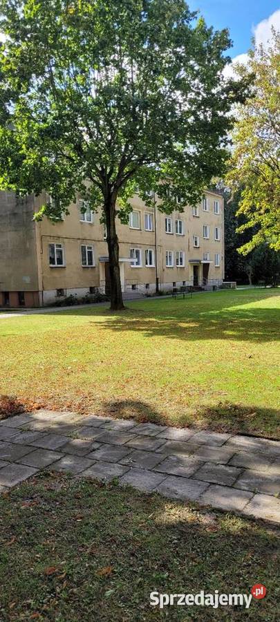 Sprzedam mieszkanie w bloku Sulechów