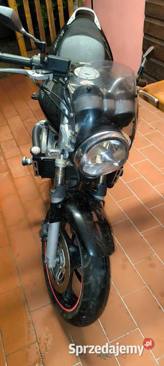 honda hornet 600 Kazimierza Wielka