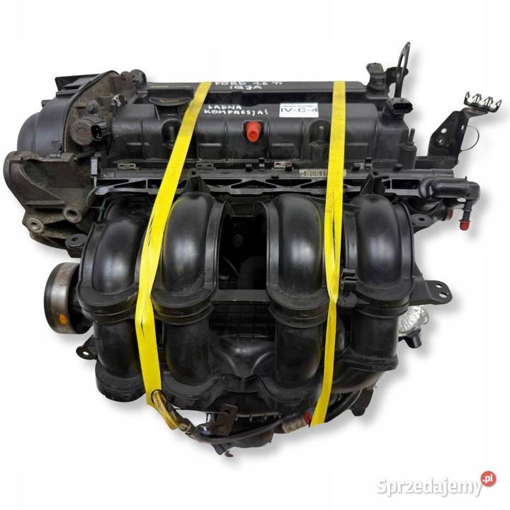 SILNIK Ford B B Fiesta VII MK7 16 16V Ti benzyna Chełm