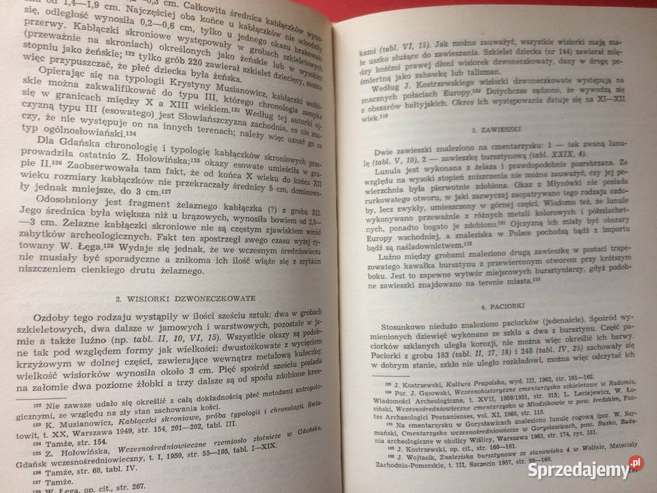 3258 Cmentarzysko WczesnośredMłynówka W Wolinie Szczecin