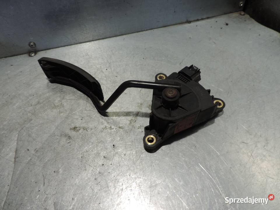 PEDAŁ GAZU POTENCJOMETR RENAULT SCENIC II 19 dci Nowy Sącz