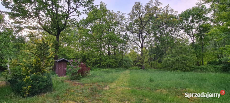 Zamieszkaj w leśnej ciszy działka budowlana z łódzkie Stefanów