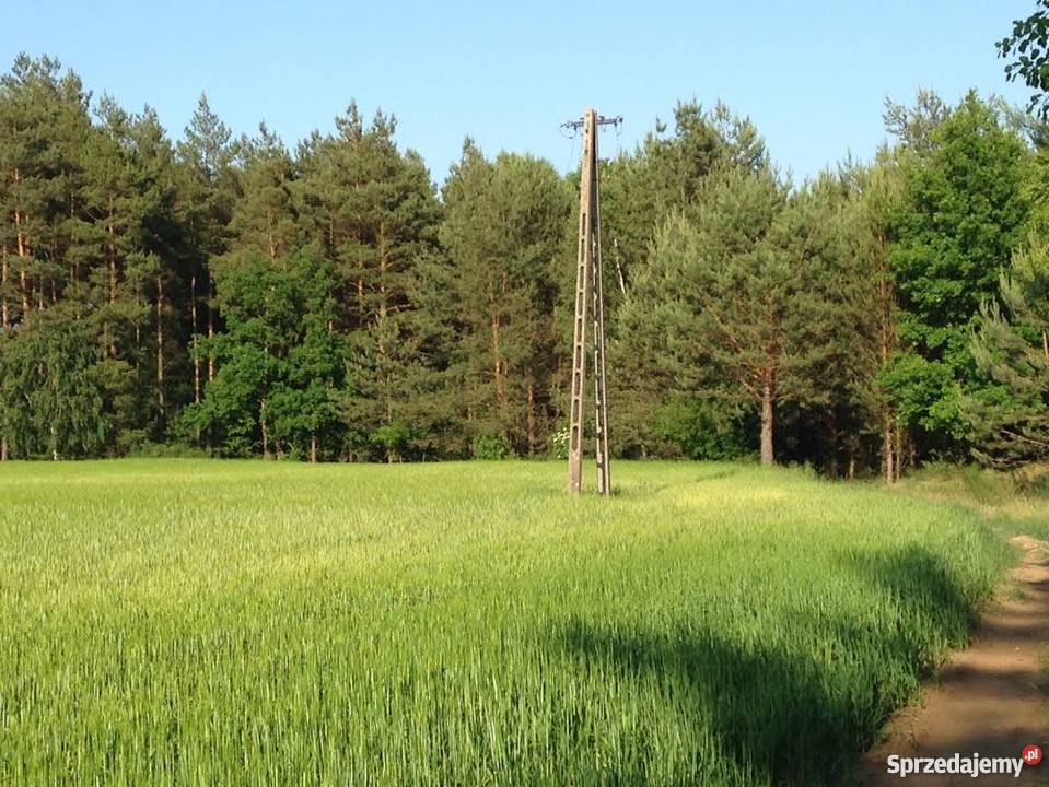 Sprzedam działkę budowlaną w lesie Bory kujawsko-pomorskie