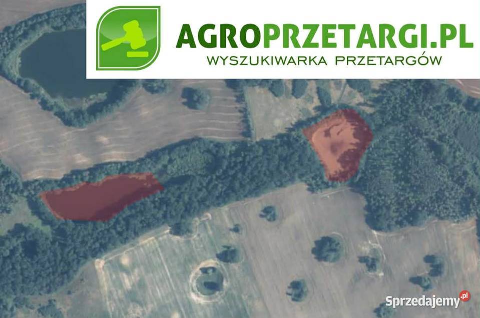 Dzierżawa 821 ha zbiorników wodnych Gryfino