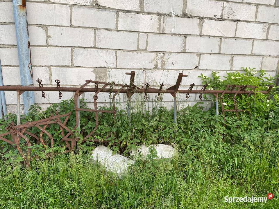 Brony do wleczenia ziemniaków Nowy Dzikowiec