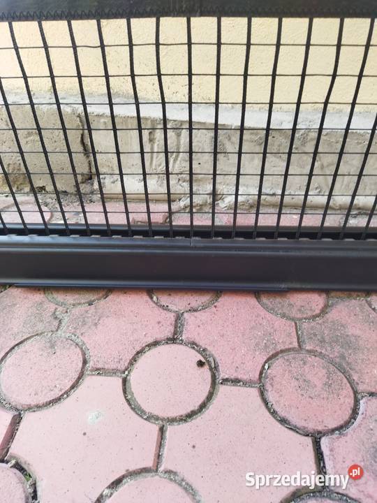 Roleta siatka Świdnica