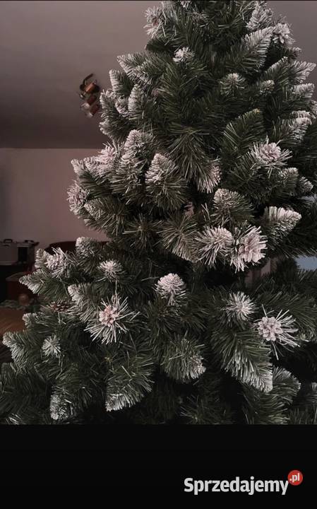 Choinka duża piękna Nisko sprzedam