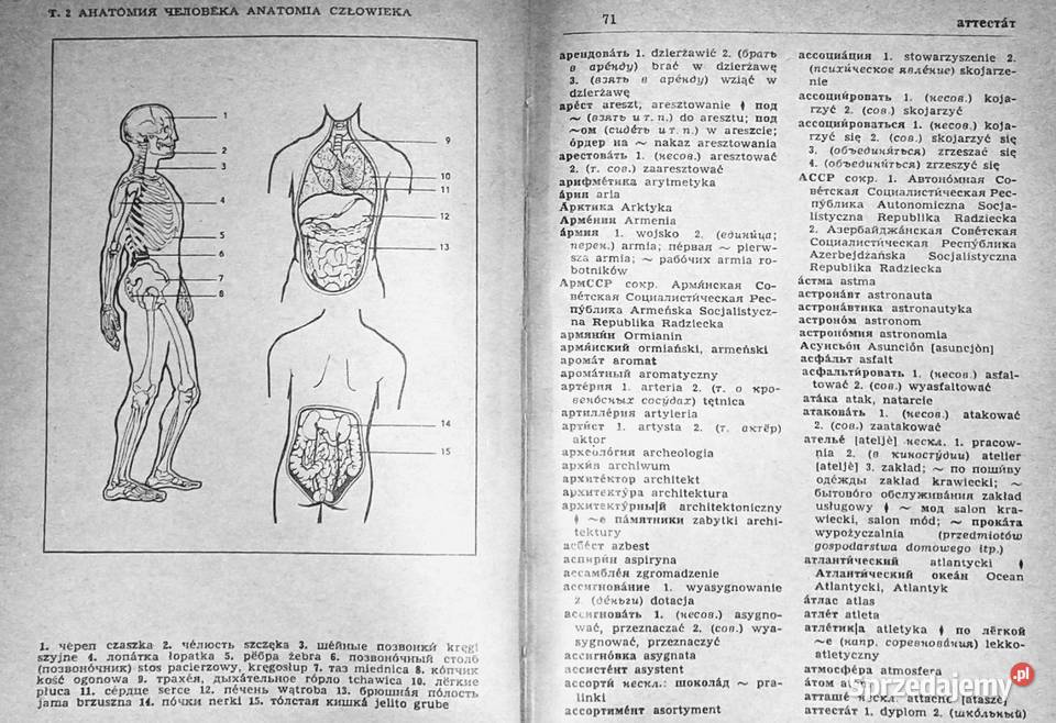 Rosyjski twarda Chełm