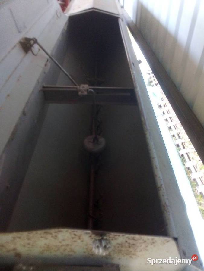 Siewnik poznaniak Miłosław