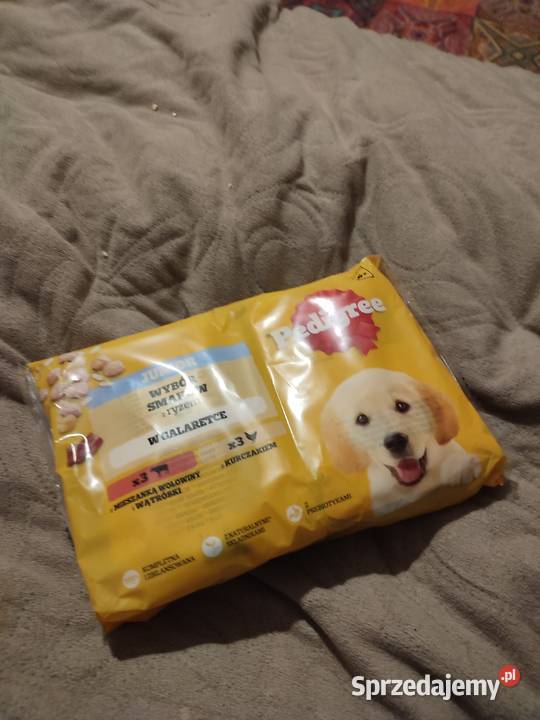 Wyprawka szczeniaka dużejśredniej rasy Goleniów