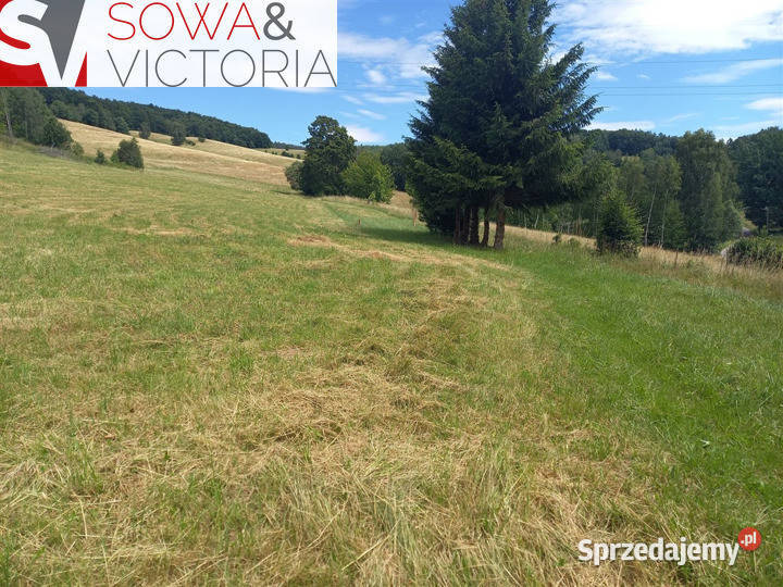 Ekspozycja południowo zach prąd już dostępny Głuszyca