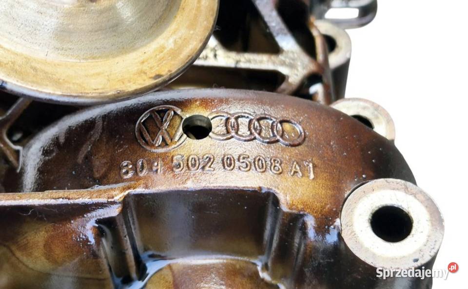 POMPA OLEJU 20 ALT AUDI A4 B6 A4 B7 A6 C5 PASSAT Działoszyce