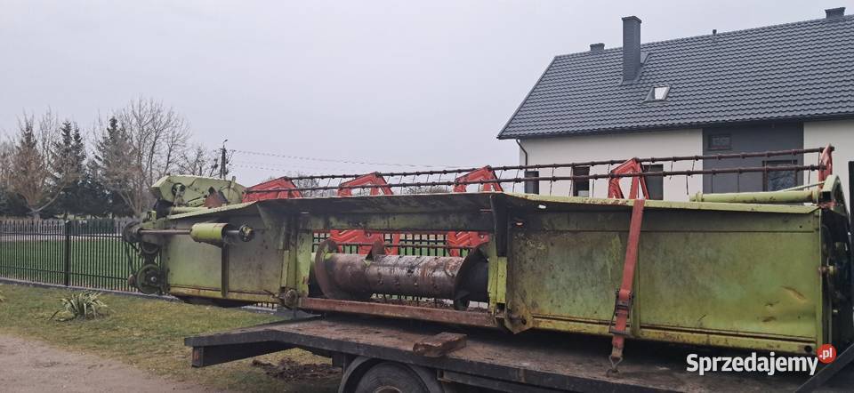 Kombajn zbożowy Claas Skaryszew