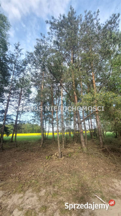 Sprzedam działka Grzmiąca 3511m2 gaz