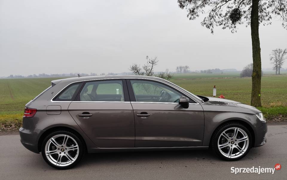 Audi A3 8V 2013r 20 TDI skóra alu 18 navi Lubasz