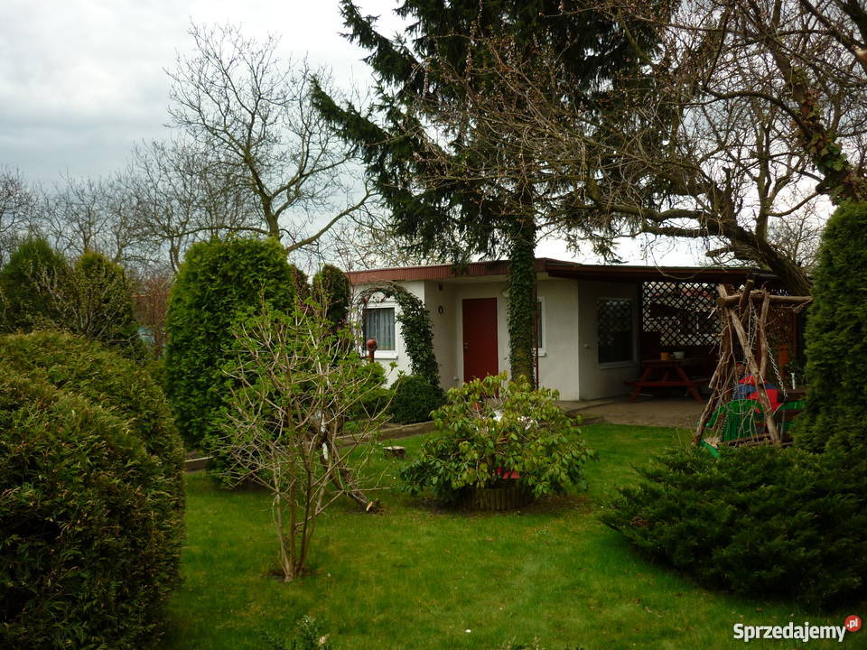 Ogródek działkowy wielkopolskie Leszno