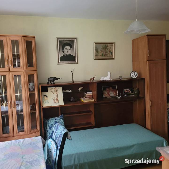 Zestaw obrazów w ramkach szkłem kwiaty pejzaż Gliwice