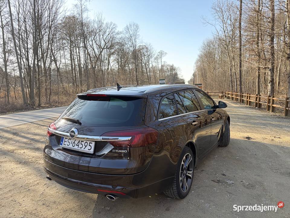 Opel Insignia Sports Tourer 20 CDTI OPC line przyciemniane szyby Insignia łódzkie Skierniewice