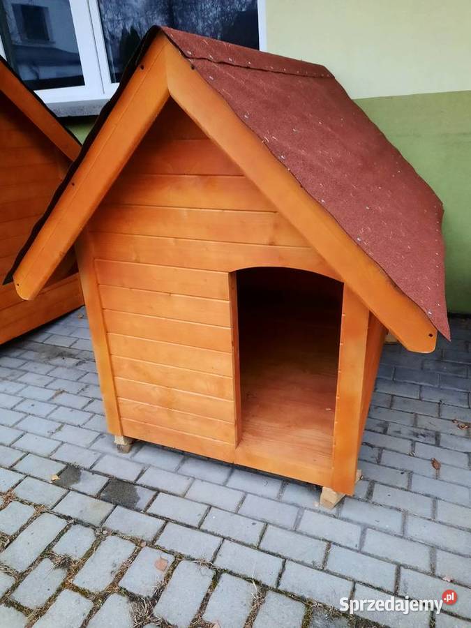 Budy pieska Pozostałe Wodzisław Śląski