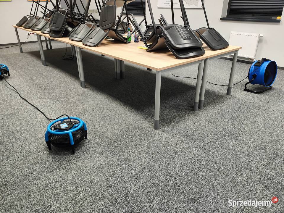 Pranie dywanów wykładzin biurowych hotelowych Utrzymanie czystości Rzgów