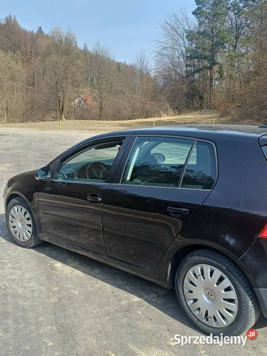 VW Golf V 19 TDI 105 Golf Volkswagen