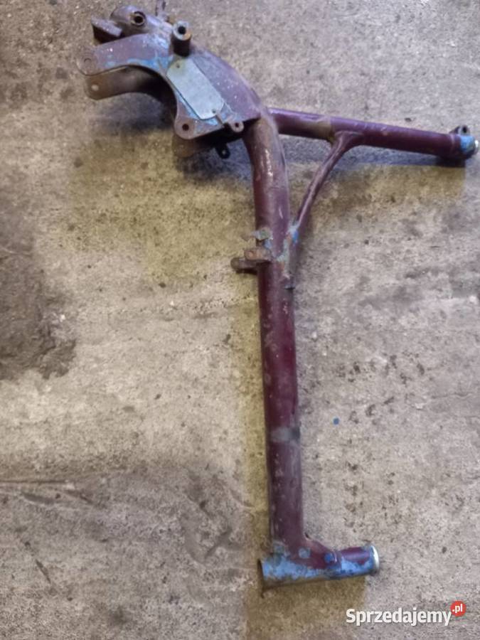 Rama komar sztywniak Pozostałe