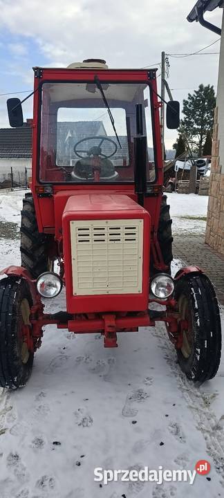 Władimirec T25 Limanowa