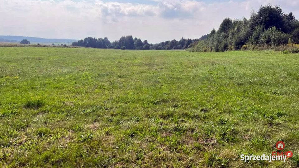 Działka Studzianki 2533m2 Sprzedaż