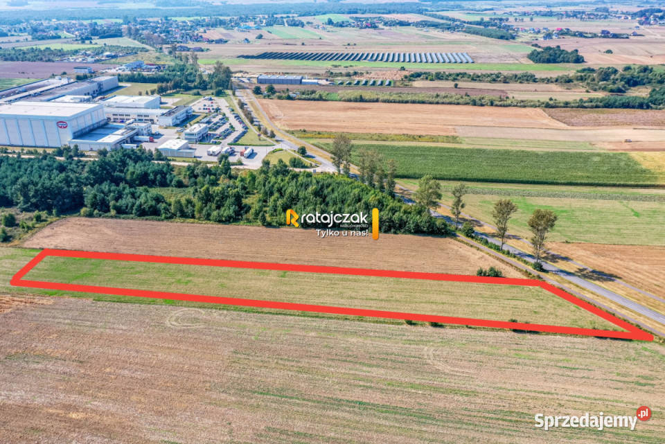 sprzedaży gruntu 9632m2 Łebcz Dr Augusta 35m