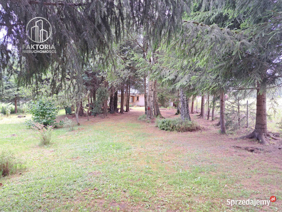 Działka 16000m2 Sobolewo Baranowicka 71m