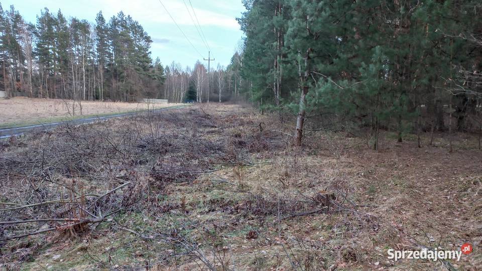 Działka budowlana Tumlin Osowa 2480m2 gmina 2480m2 Tumlin-Osowa sprzedam