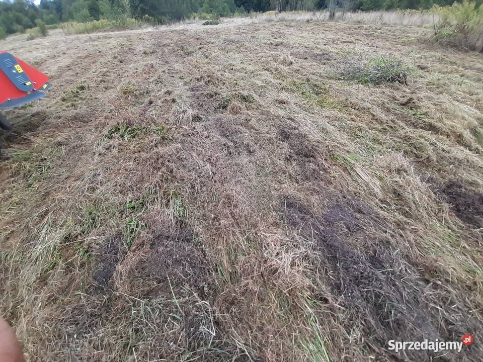 Usługi Kosiarką Bijakową Rolnictwo Oleksin