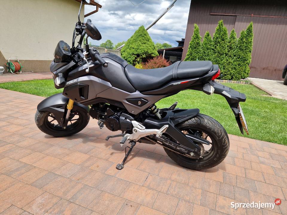 Honda MSX 125SF na kategorię B 10 Pierwsza świętokrzyskie Pińczów