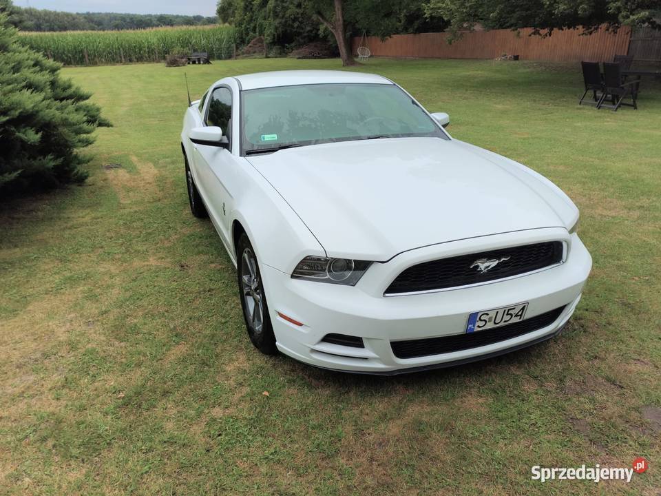 Ford Mustang 37 V6 305 Automat Rocznik 2014 Łaziska