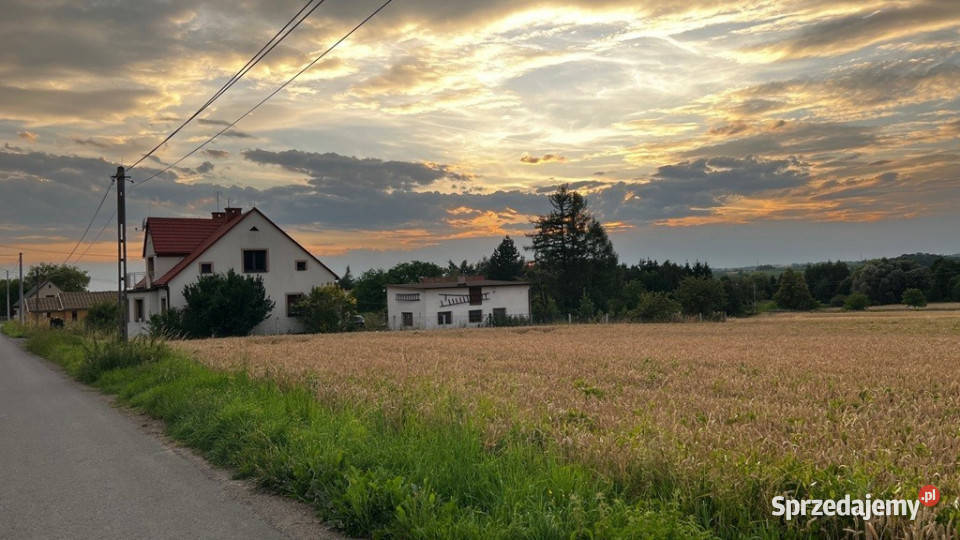 Działka z lasem w pobliżu Beskidy budowlana śląskie Goleszów sprzedam