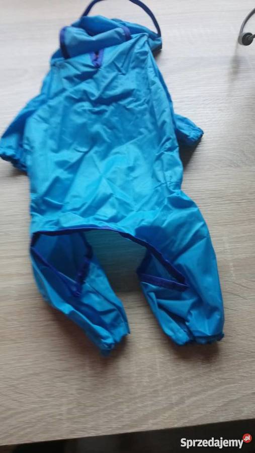 pelerynka pieska warmińsko-mazurskie Iława