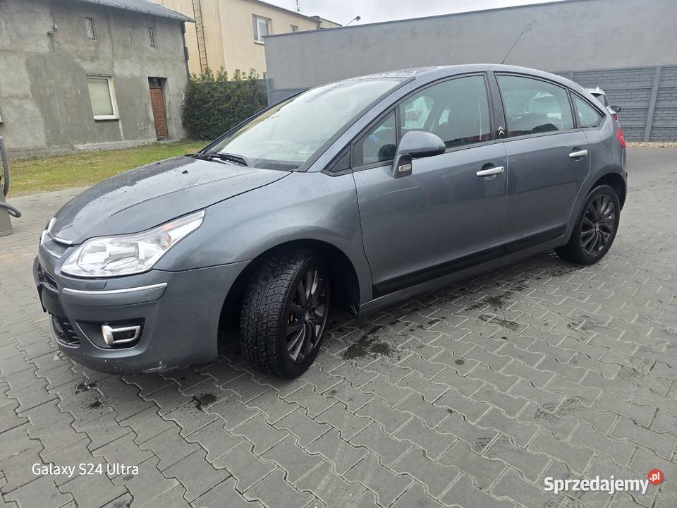 Ładna cytrynka C4 Paterek