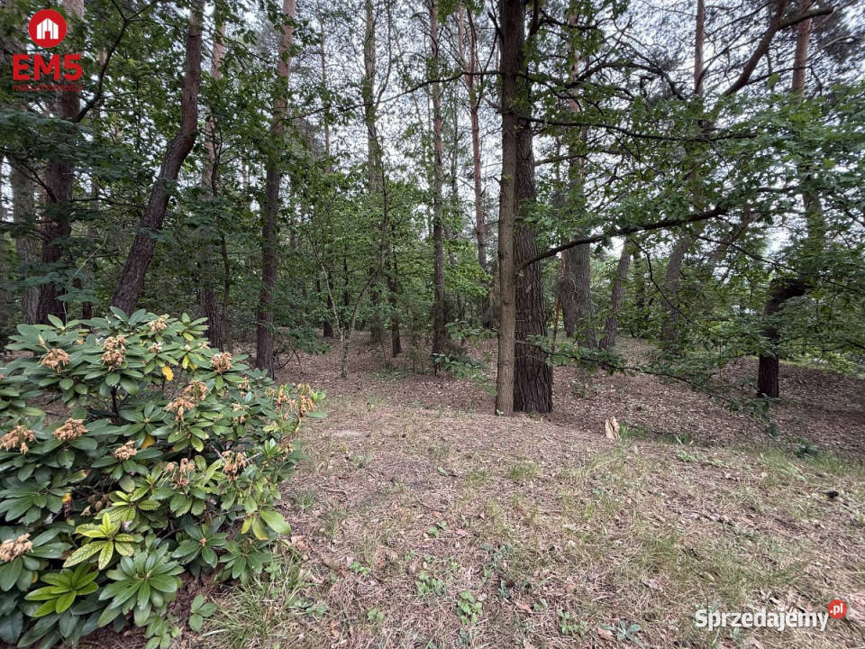 Ogłoszenie dom wolnostojący 260m2 Jeroniki