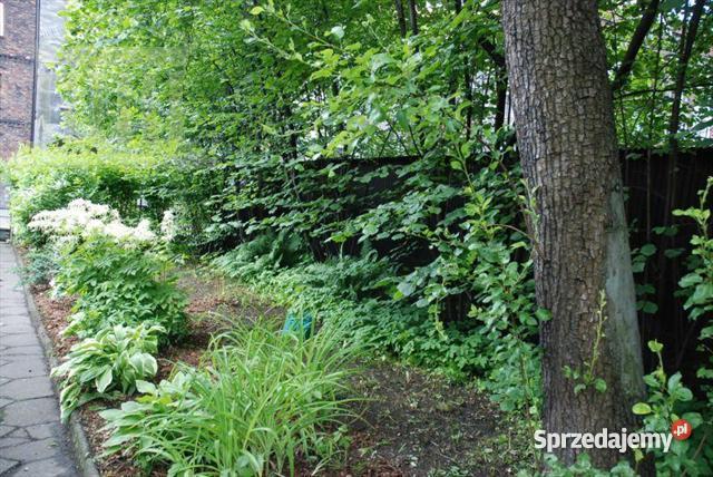 dom wolnostojący Zabrze 16000m Zabrze