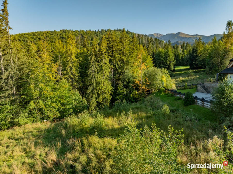Działka RolnoLeśna 2784 m Kościelisko Gronik sprzedam