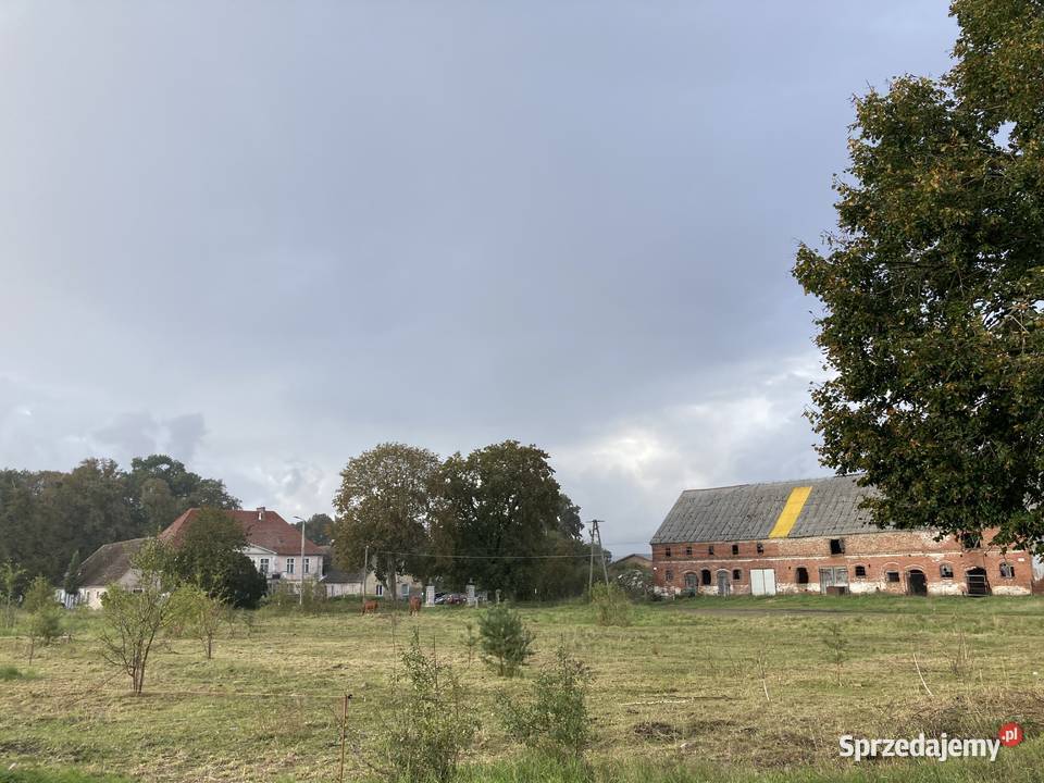 Syndyk sprzeda lokal mieszkalny w Leśnicach Sprzedaż Leśnice