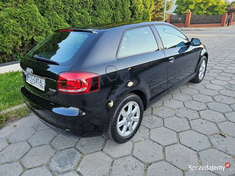 Audi A3 8P 20 TFSI 200 2012 r Zarej Bogate ESP Ostrów Wielkopolski