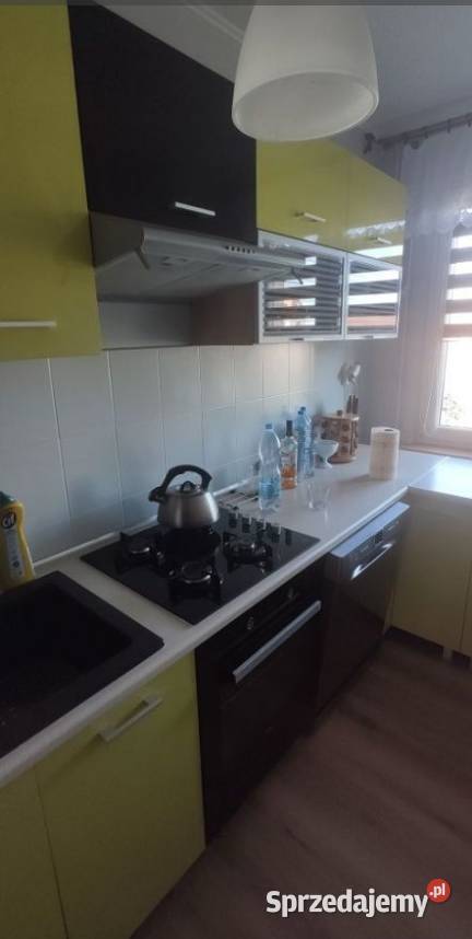 3pok 58met Sikorskiego BALKONPIWNICA Legnica Rok budowy 1980