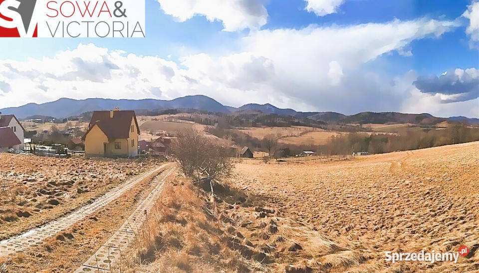 Słoneczna Widokowa Góry Sowie utwardzona Olszyniec sprzedam