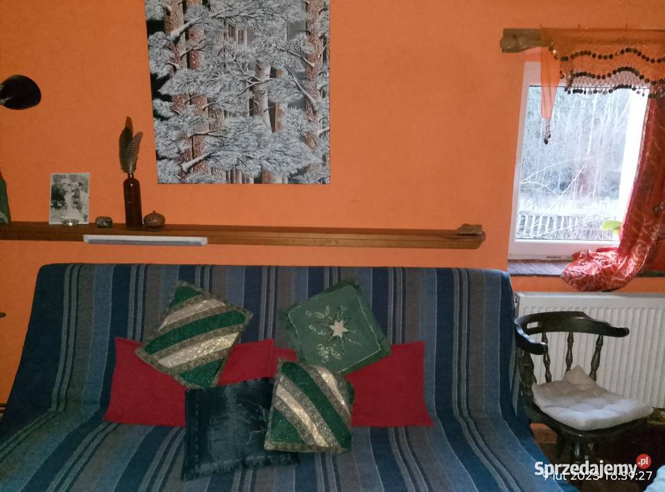 Sosnowy sen akryl 80 x 80 sprzedam