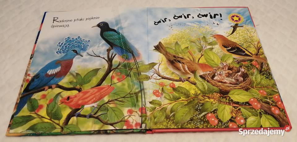 Odgłosy dzikich zwierząt książeczka dźwiękowa