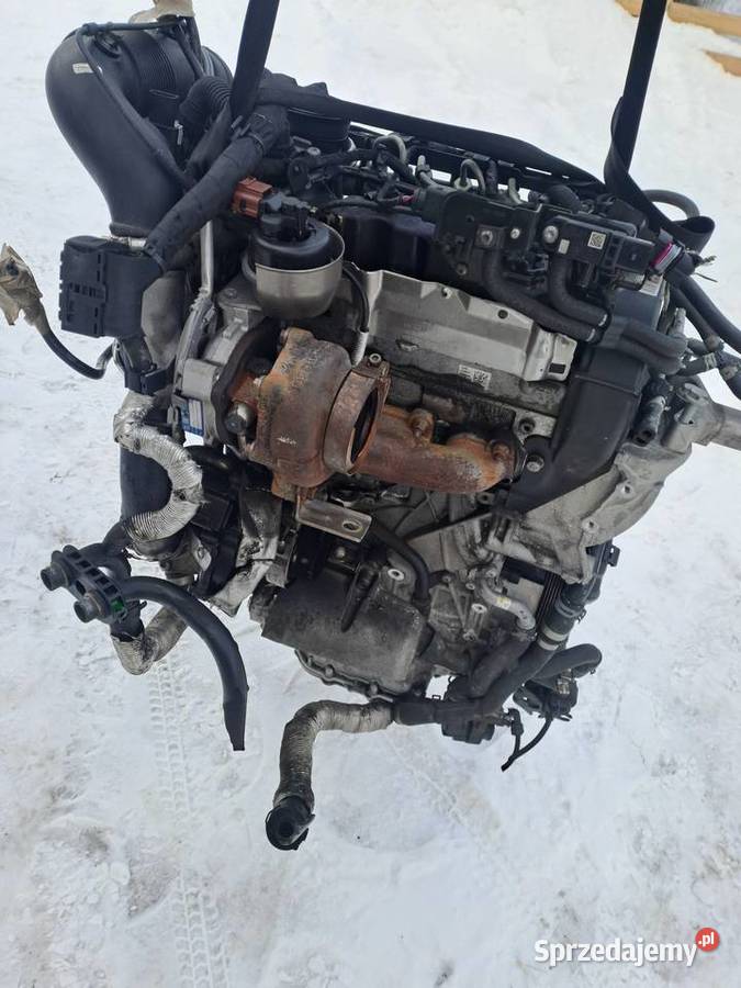 Volkswagen Polo V 6R1 14 TDi 90 silnik kompletny śląskie sprzedam