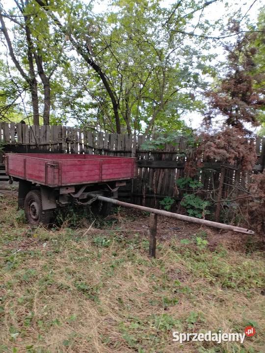Przyczepa D 17 do Żuka stan mazowieckie Warszawa