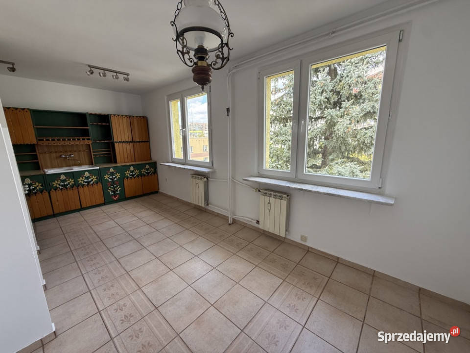 Panorama Kielc widok na park Nieruchomości Kielce