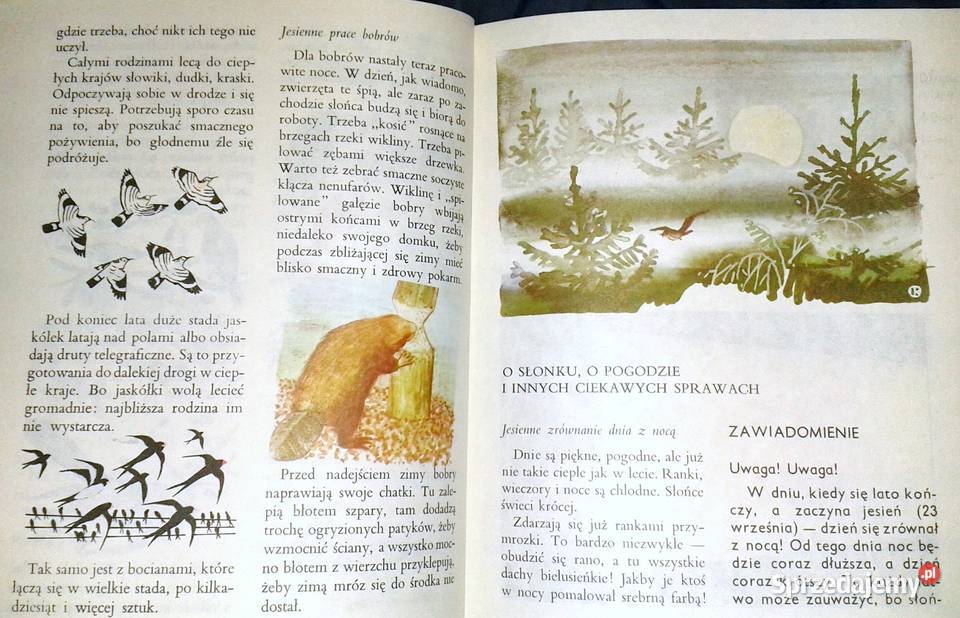 Razem ze słonkiem Złota jesień 4 Maria Kownacka Chełm